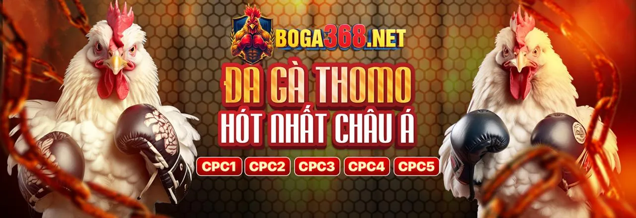 Chính sách bảo vệ dữ liệu cá nhân của vua99 chính thức