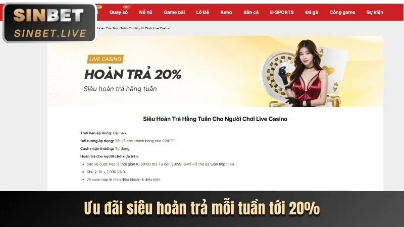 Phân tích chi tiết các chương trình khuyến mãi vua99